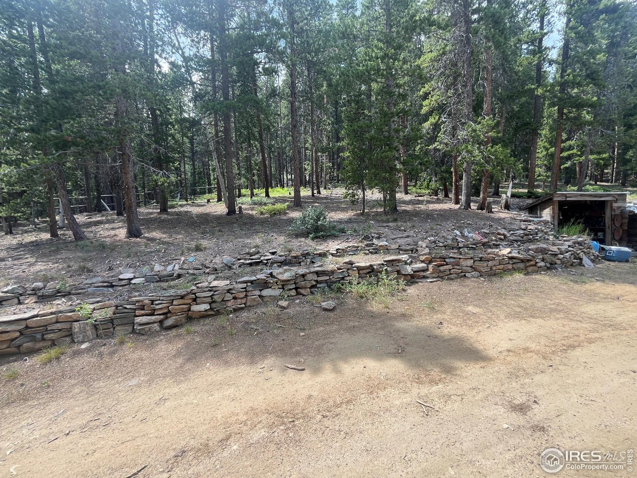 3533 Gamble Gulch Road Black Hawk, CO 80422 - Photo 14 of 18 a view of outdoor space with trees