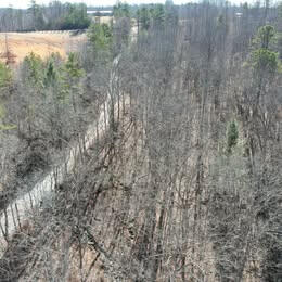 2163 Hazel Patch Road East Bernstadt, KY 40729 - Photo 2 of 8 01