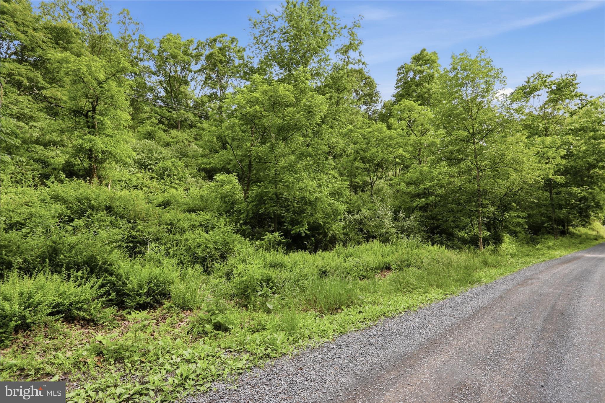 11.95-ac Luxemburg Road Baker, WV 26801 - Photo 5 of 23