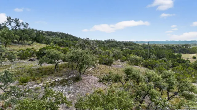a view of a green field with lots of bushes