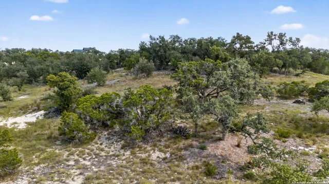 a view of a city with lush green forest