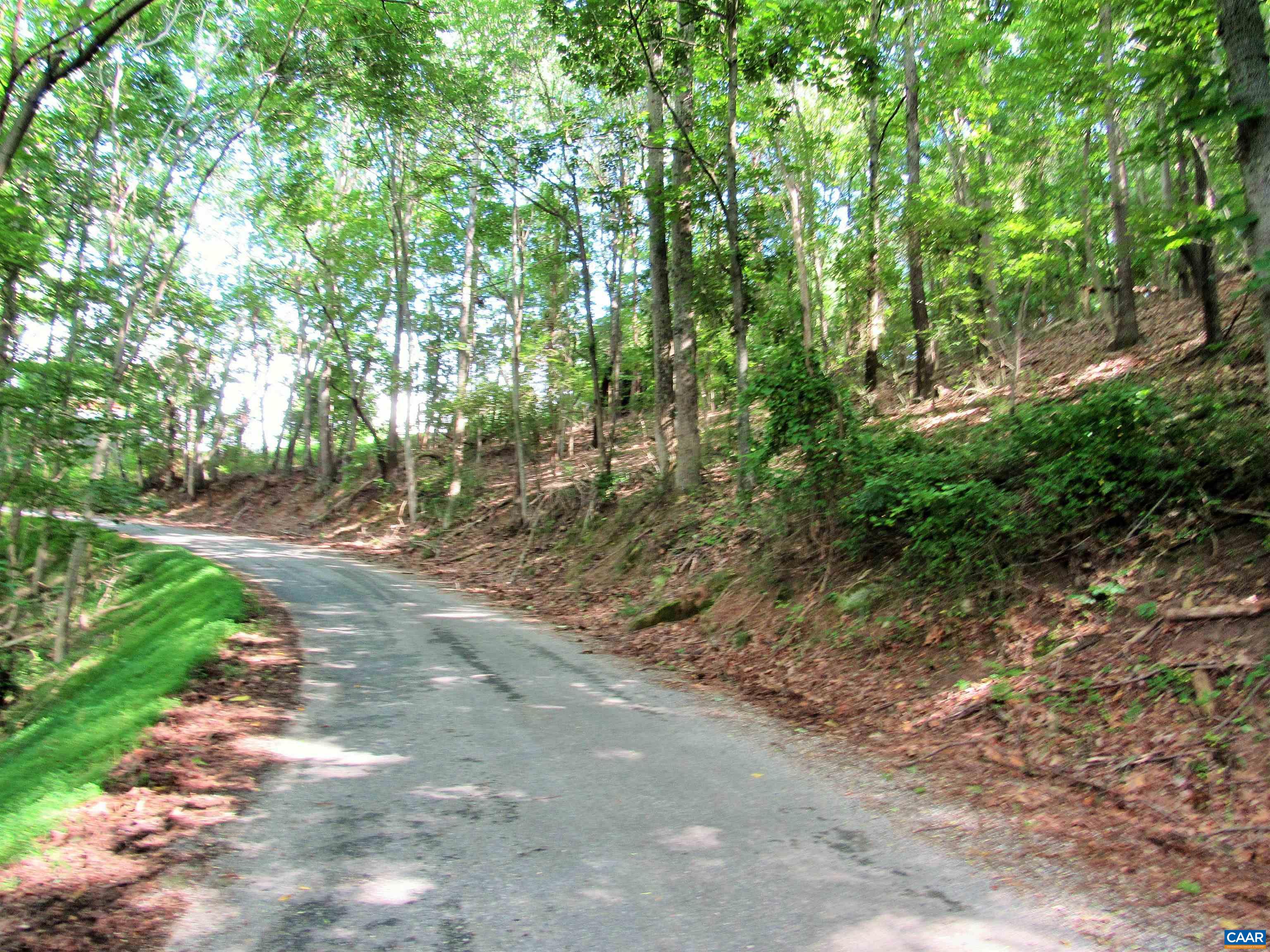 611 Hartless Road Amherst, VA 24521 - Photo 50 of 51 a pathway of a yard