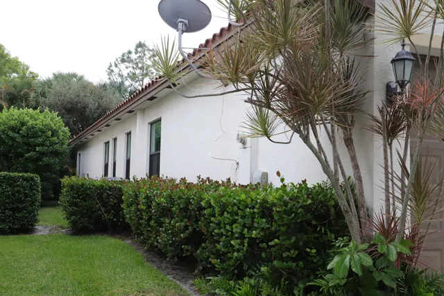 a backyard of a house with plants and tree