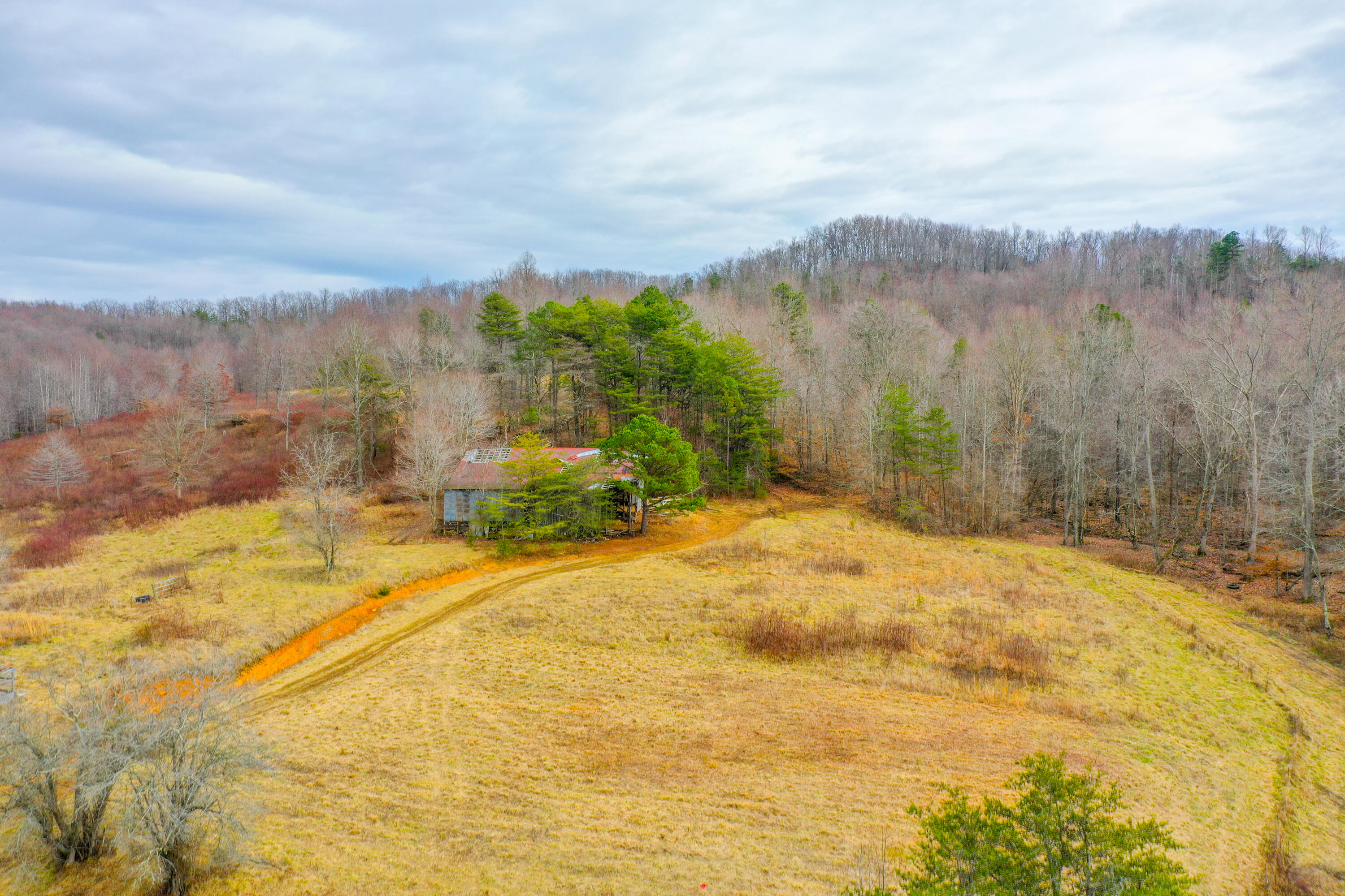 1763 Burnett Road London, KY 40744 - Photo 61 of 92 org_6a0c20ab54631a10_1706643890000-HDR