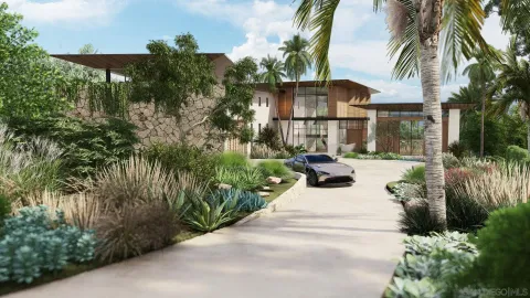 a view of a street with palm trees