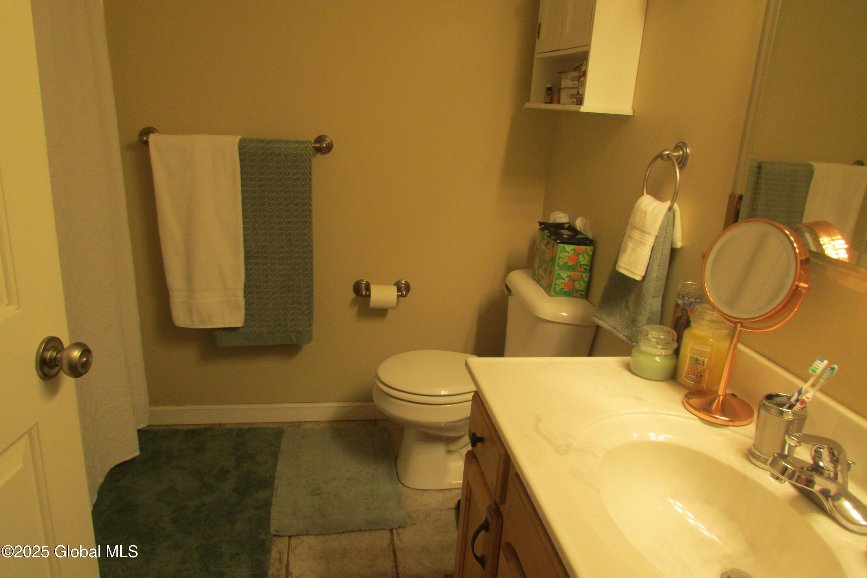 507 Cedar Run Rensselaer, NY 12144 - Photo 9 of 12 IMG_2855
