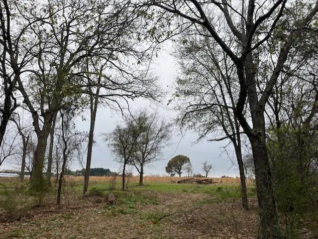 a view of backyard with trees