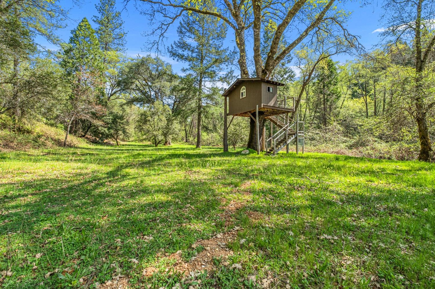 4271 Marshall Road Georgetown, CA 95634 - Photo 35 of 70