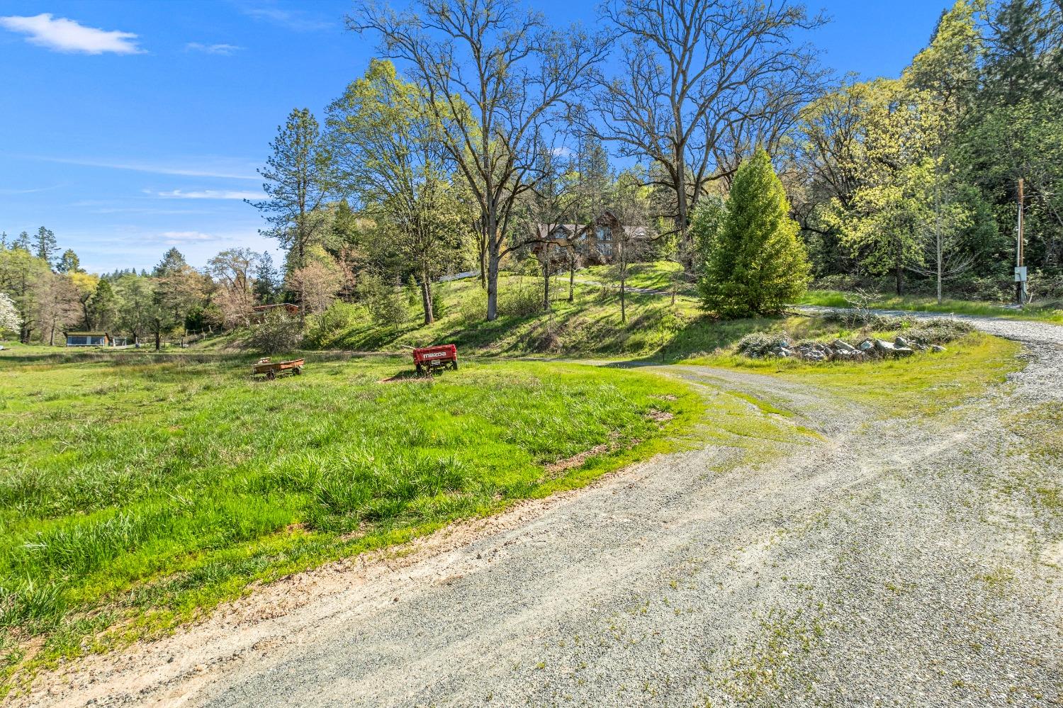 4271 Marshall Road Georgetown, CA 95634 - Photo 61 of 70 a view of a backyard with large trees