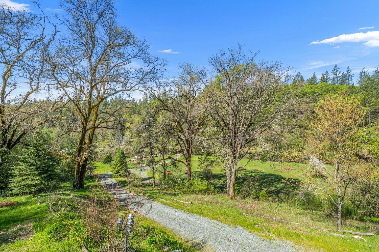 4271 Marshall Road Georgetown, CA 95634 - Photo 63 of 70 a view of a yard with an trees