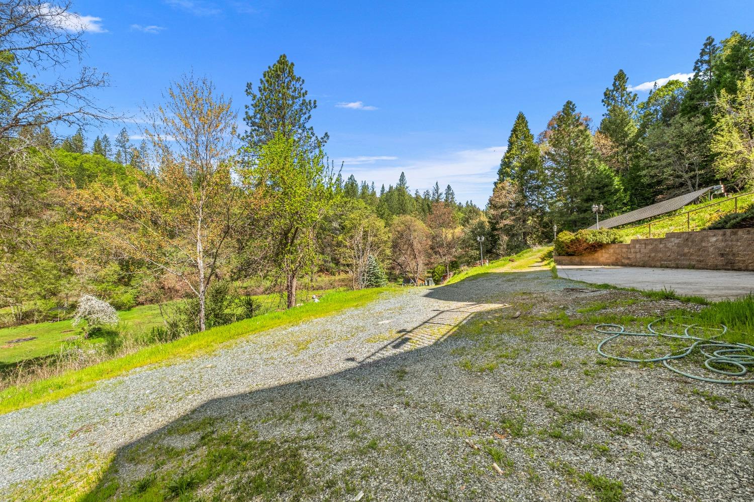 4271 Marshall Road Georgetown, CA 95634 - Photo 66 of 70 a view of a yard with large trees