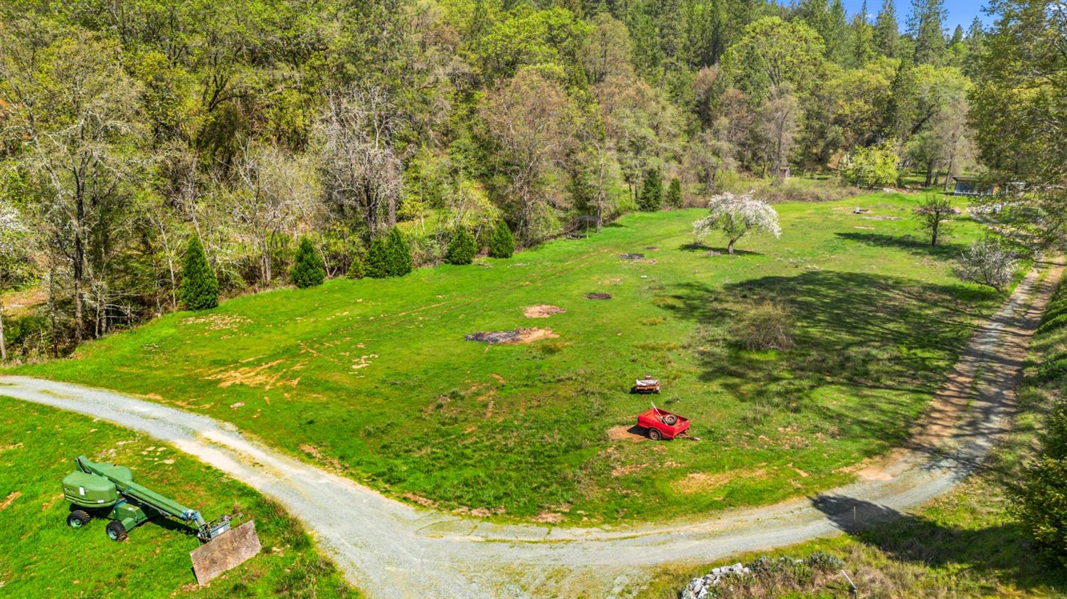 4271 Marshall Road Georgetown, CA 95634 - Photo 10 of 70 a view of a green yard with large trees
