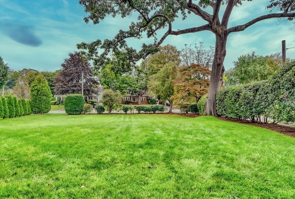 3 Sheffield Road Winchester, MA 01890 - Photo 39 of 42 a view of a yard with a tree