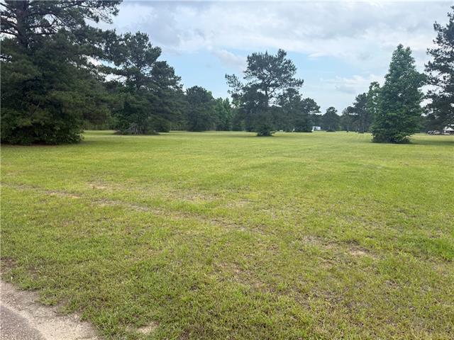 Tbd Halbert Road Amite, LA 70422 - Photo 5 of 7