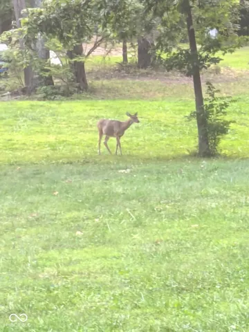 $79,900 | 86 Bunker Hill Road West, Mooresville, IN 46158