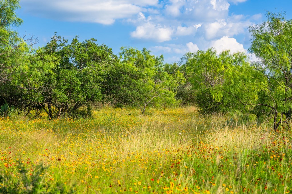 0 County Road Llano, TX 78643 - Photo 44 of 45