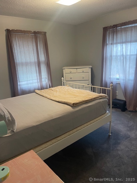 450 Maple Hill Road Naugatuck, CT 06770 - Photo 9 of 20