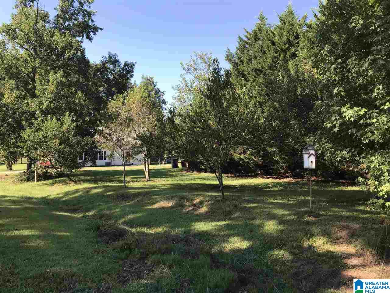 5425 East Mill Road Lineville, AL 36266 - Photo 22 of 50