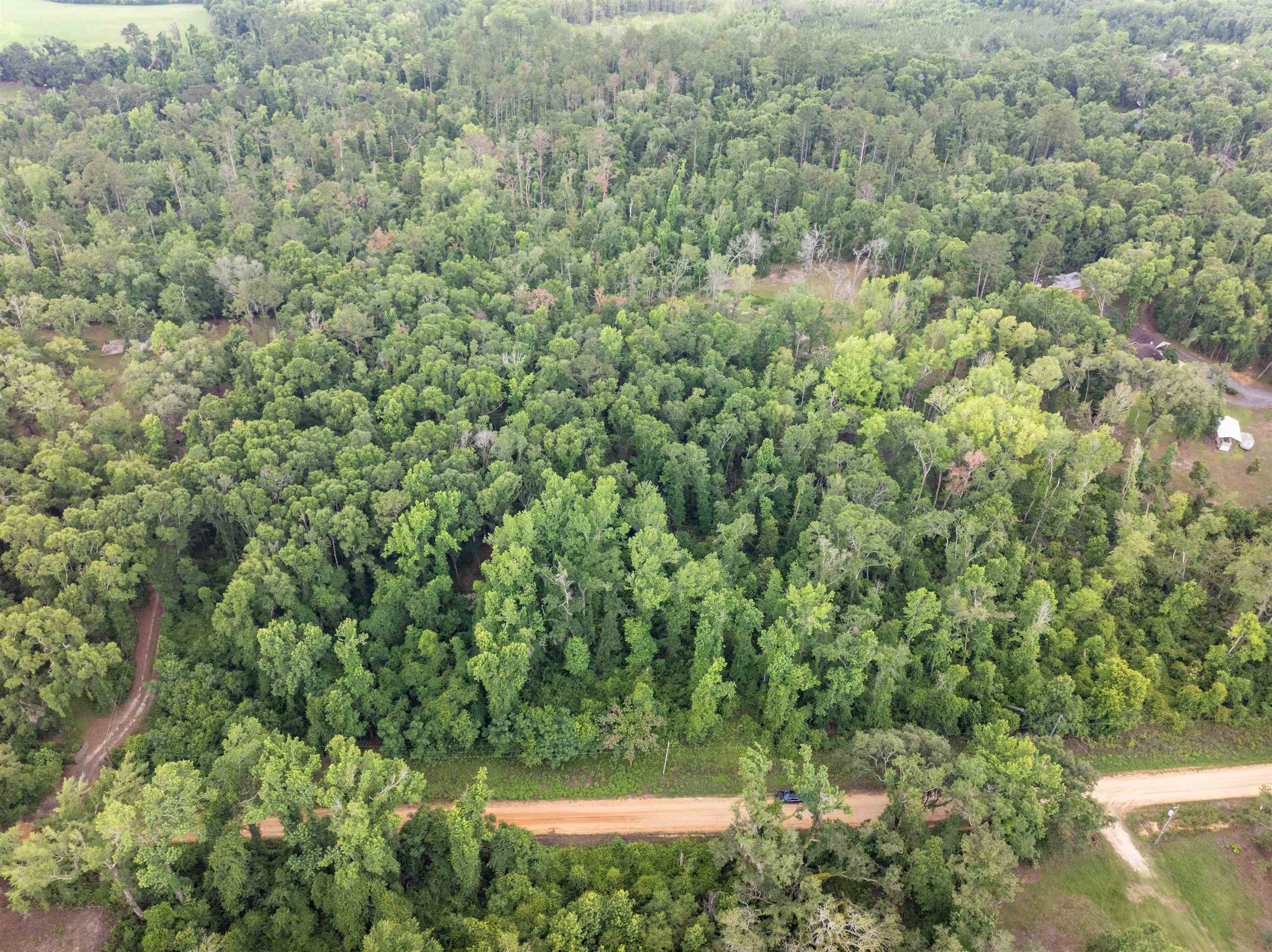 Vacant Northwest Vacant Nw Circle Road Madison, FL 32340 - Photo 2 of 18