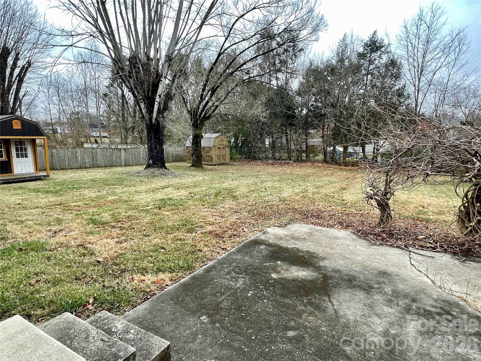 635 Powell Road Northeast Lenoir, NC 28645 - Photo 38 of 48 a view of yard with tree