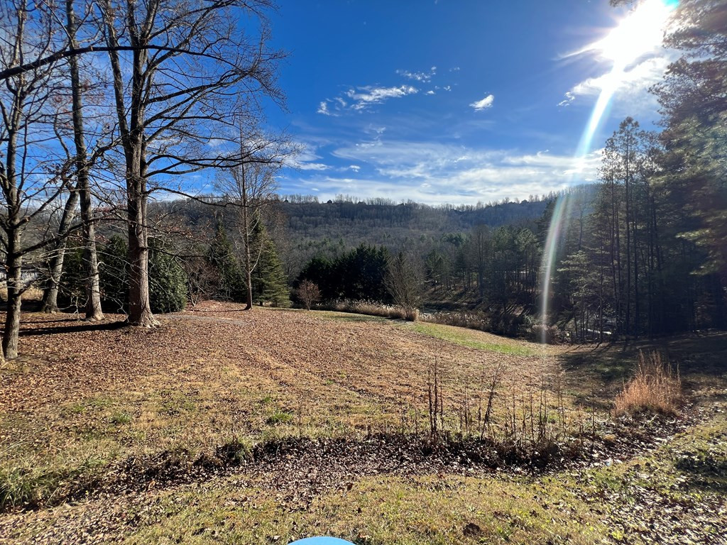 90 Fox Spring Lane Murphy, NC 28906 - Photo 2 of 4