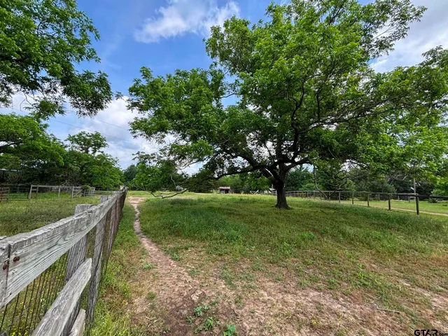 a view of a big yard with table and chairs potted plants and large tree