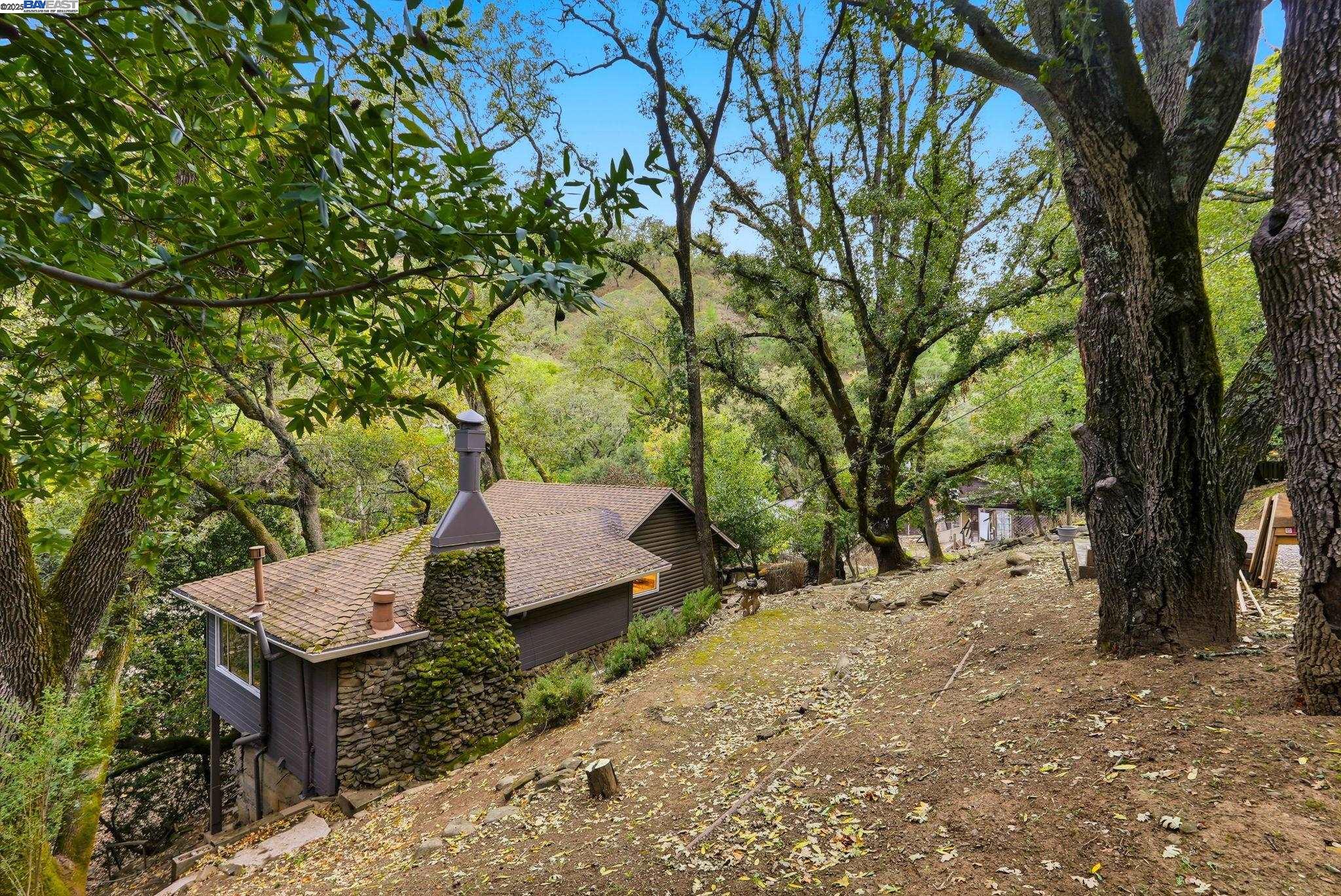 2929 Kilkare Road Sunol, CA 94586 - Photo 36 of 40 a view of a backyard with a tree