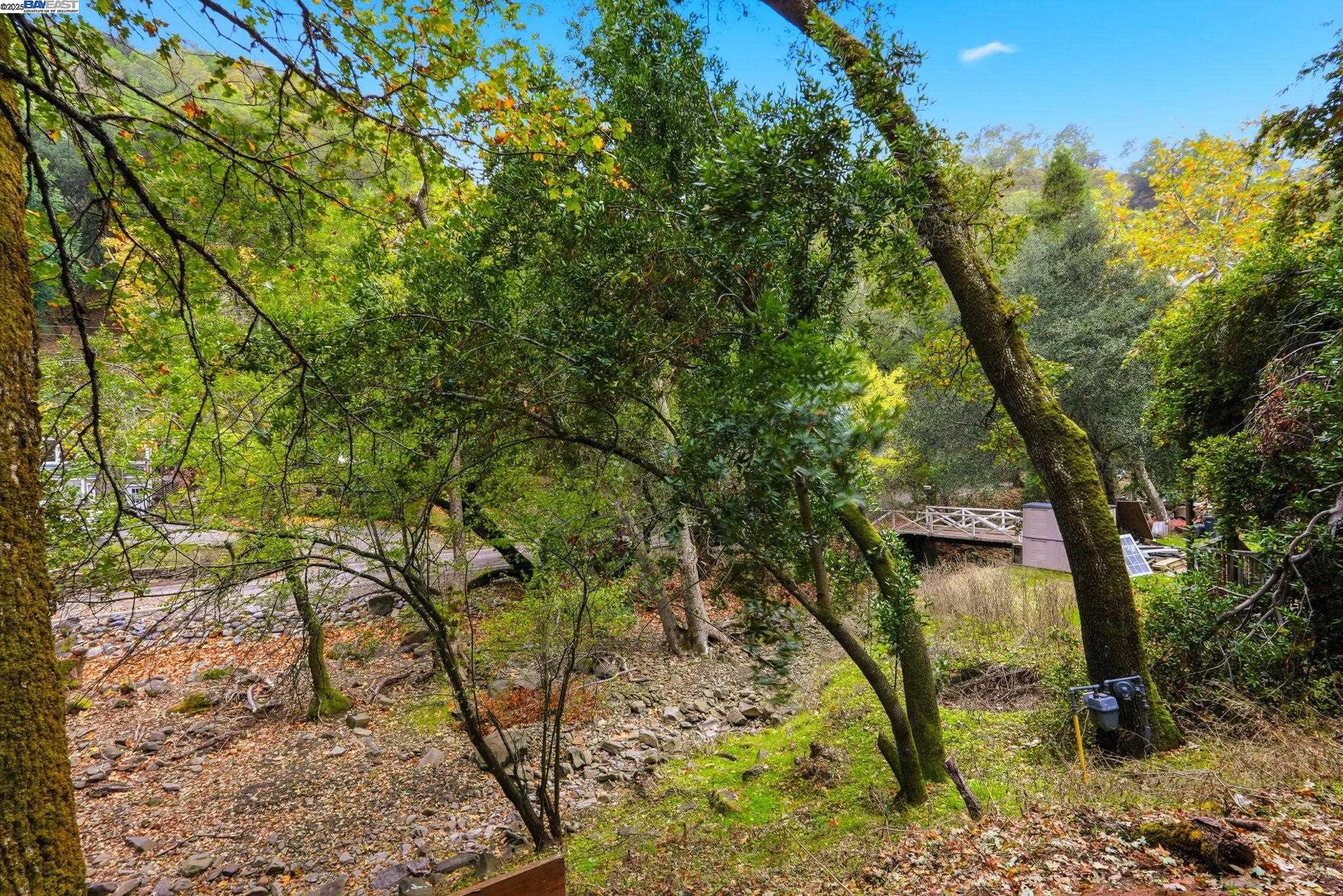 2929 Kilkare Road Sunol, CA 94586 - Photo 37 of 40 a backyard of a house with lots of trees