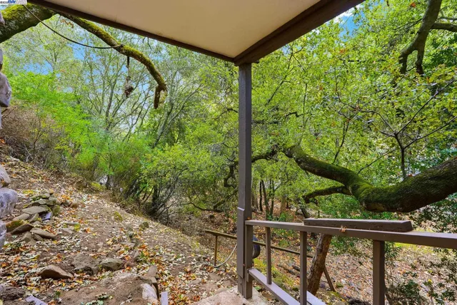 a view of a yard with plants
