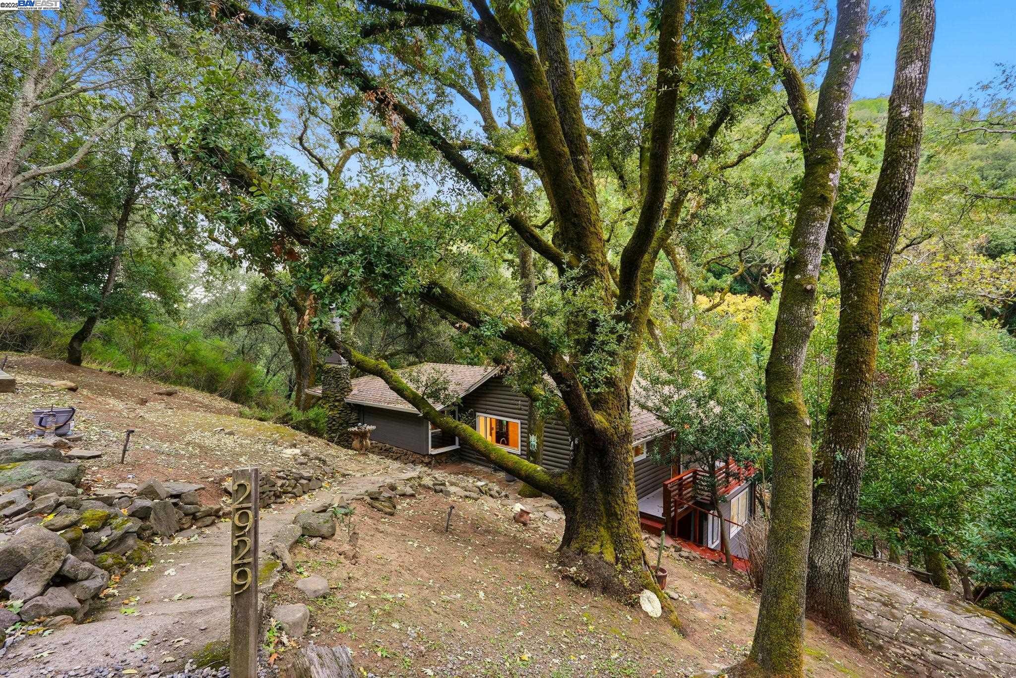 2929 Kilkare Road Sunol, CA 94586 - Photo 4 of 40 a view of a park with large trees