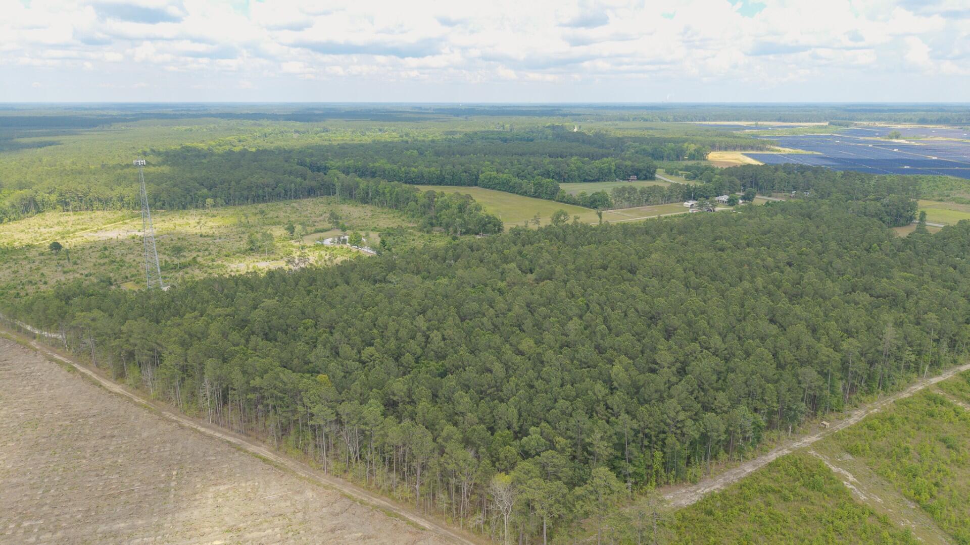 6222 Saints Delight Road, Unit LOT 8 Georgetown, SC 29440 - Photo 12 of 26