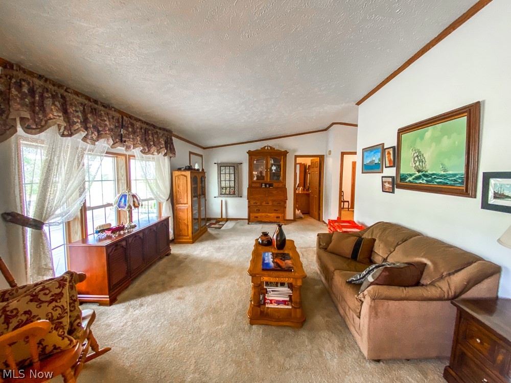 17499 Kinsman Road Middlefield, OH 44062 - Photo 28 of 49 Carpeted living room with a textured ceiling, crown molding, and lofted ceiling