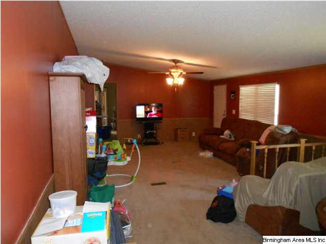 334 Southern Road Oneonta, AL 35121 - Photo 5 of 12