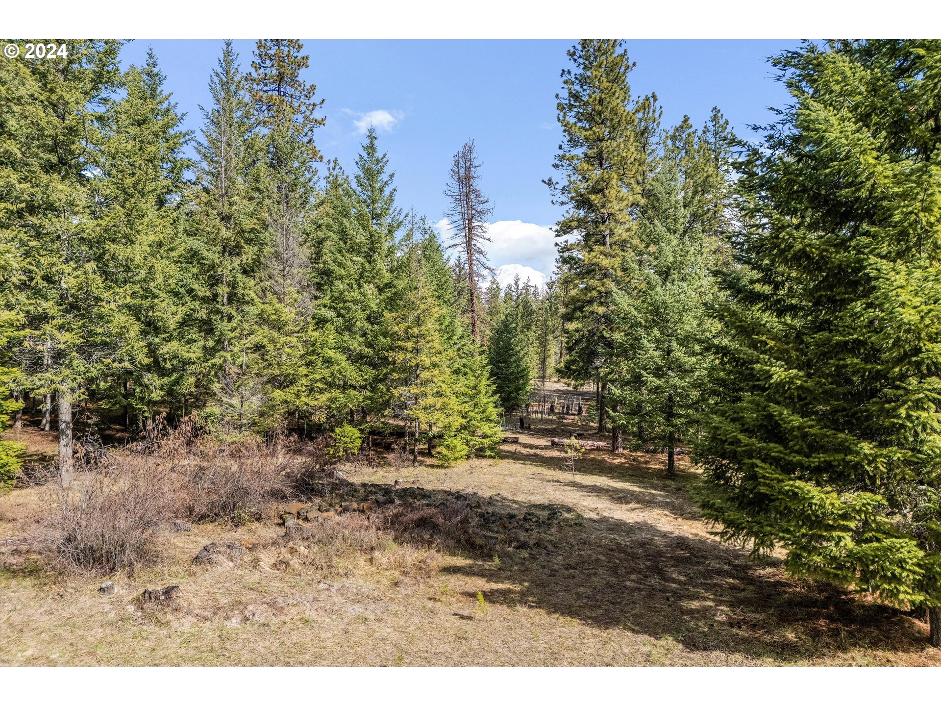115 Jennings Road Trout Lake, WA 98650 - Photo 33 of 37 View