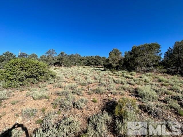 850 Buckeye Road Reno, NV 89521 - Photo 1 of 7 Photo 1