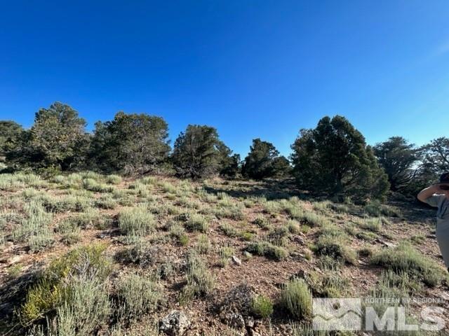 850 Buckeye Road Reno, NV 89521 - Photo 2 of 7 Photo 2