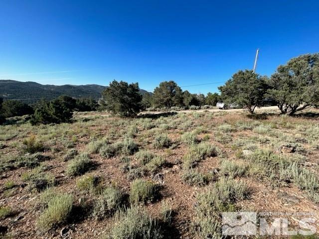 850 Buckeye Road Reno, NV 89521 - Photo 3 of 7 Photo 3