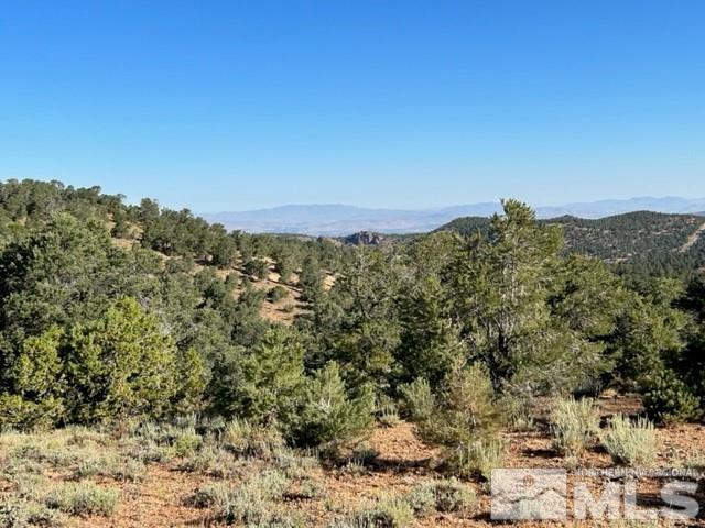 850 Buckeye Road Reno, NV 89521 - Photo 5 of 7 Photo 5
