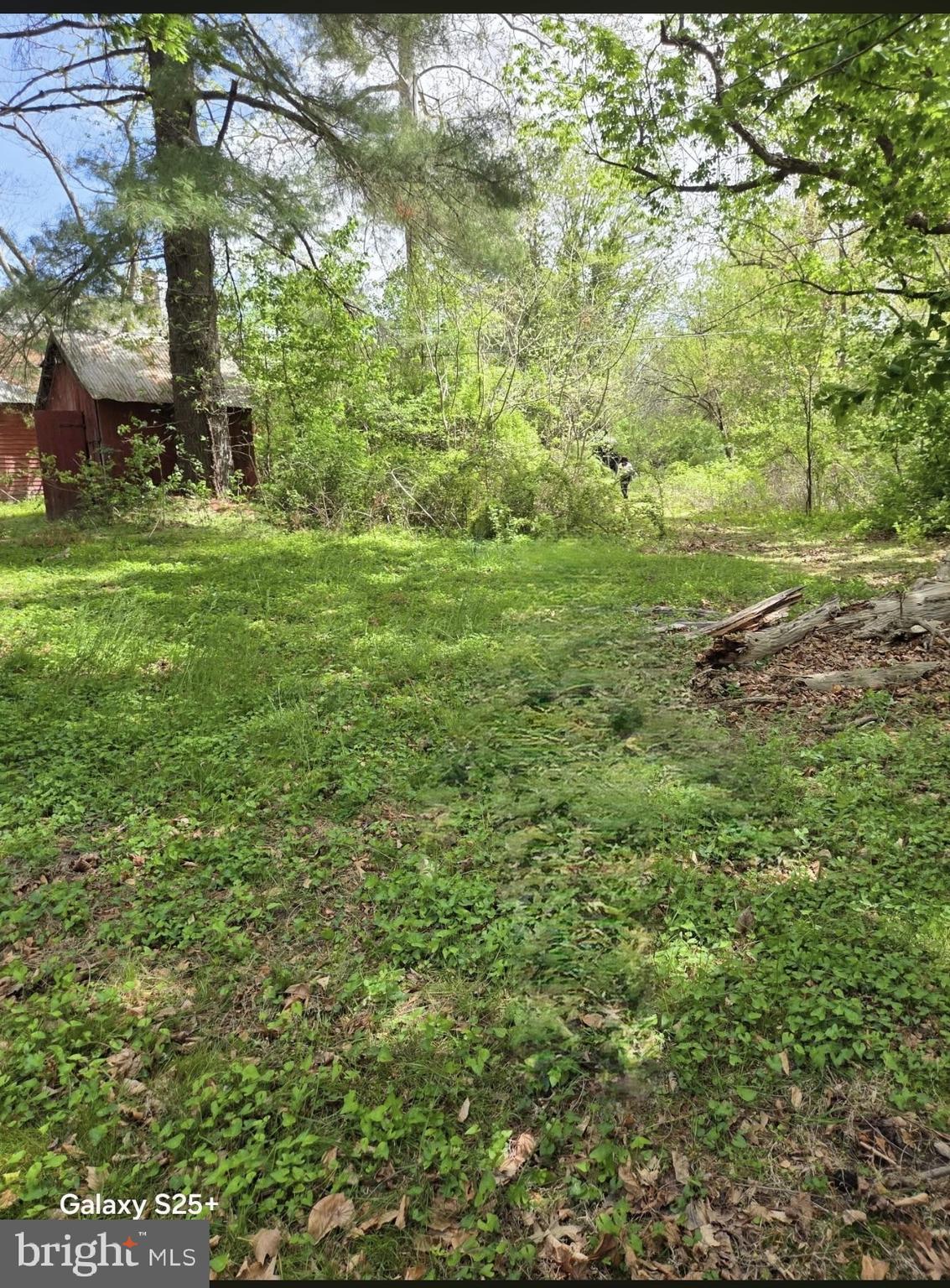 416 Watsons Mill Road Elmer, NJ 08318 - Photo 3 of 7 a view of outdoor space and yard