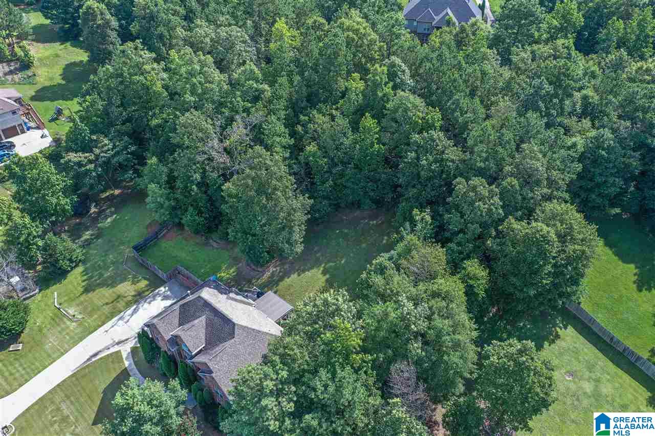 1013 Baron Lane Chelsea, AL 35043 - Photo 5 of 44
