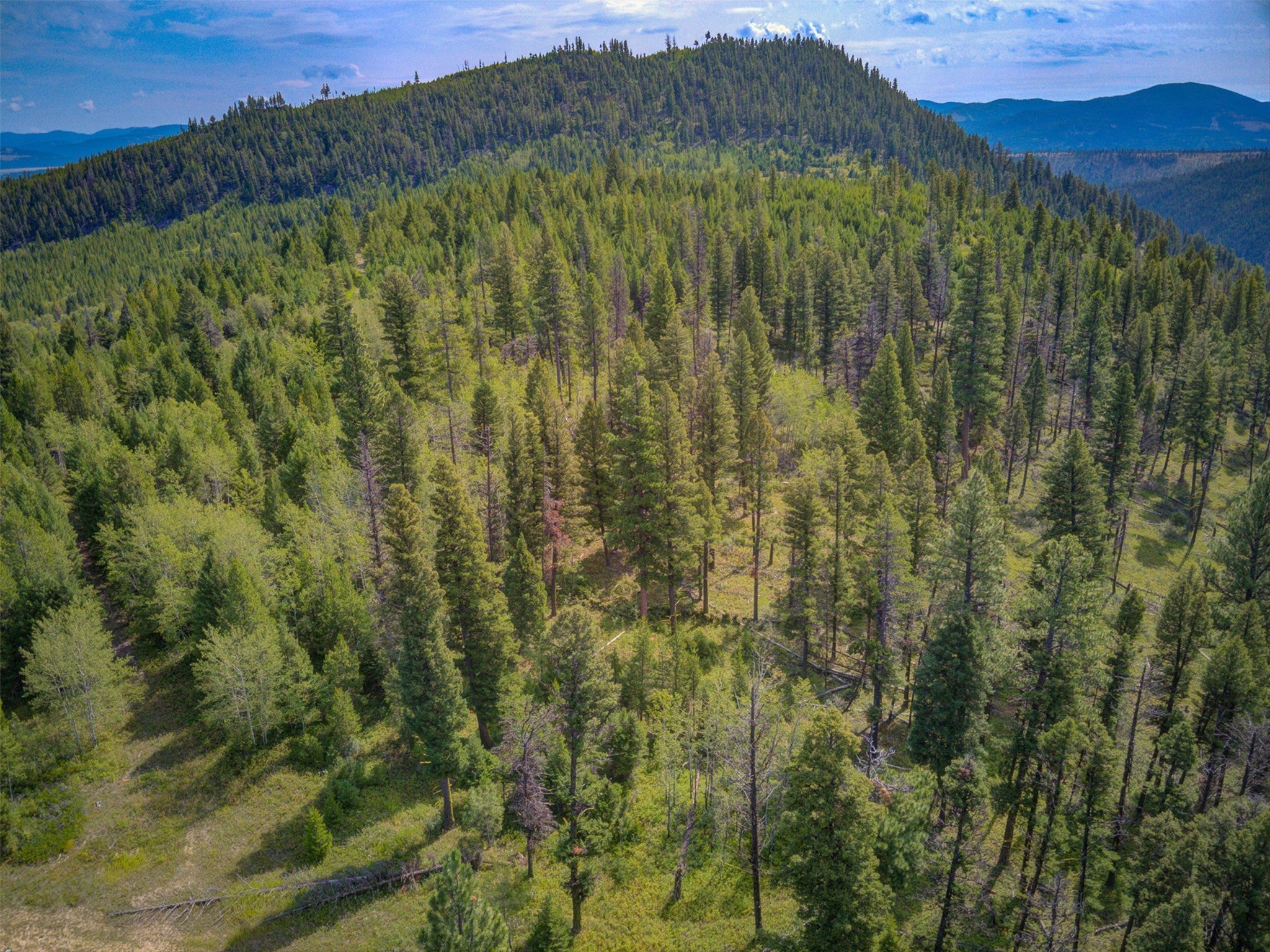 2 2 Bear Springs Road Lincoln, MT 59639 - Photo 41 of 55 Gallery Image 41