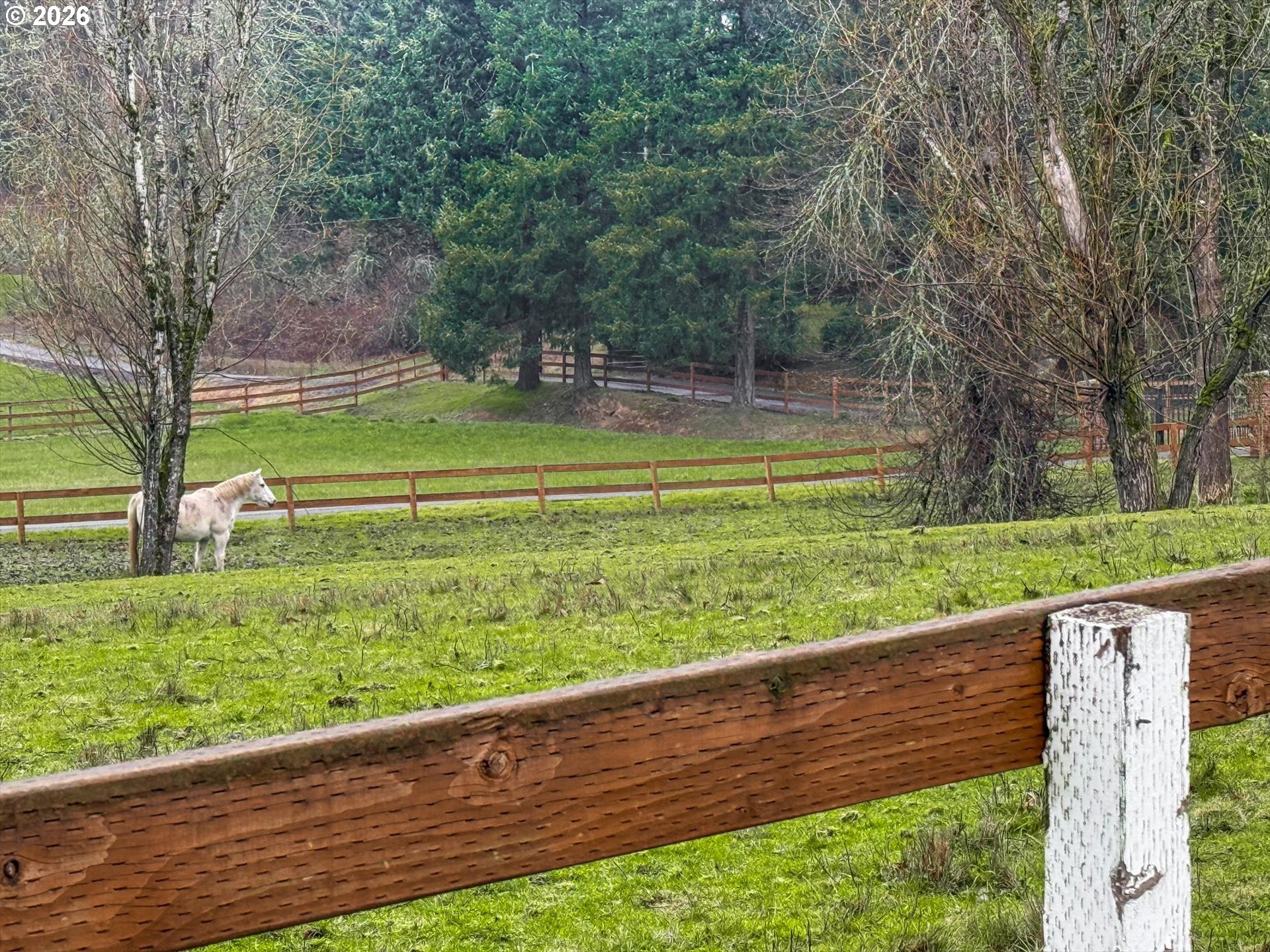 17069 South Bradley Road Oregon City, OR 97045 - Photo 28 of 29