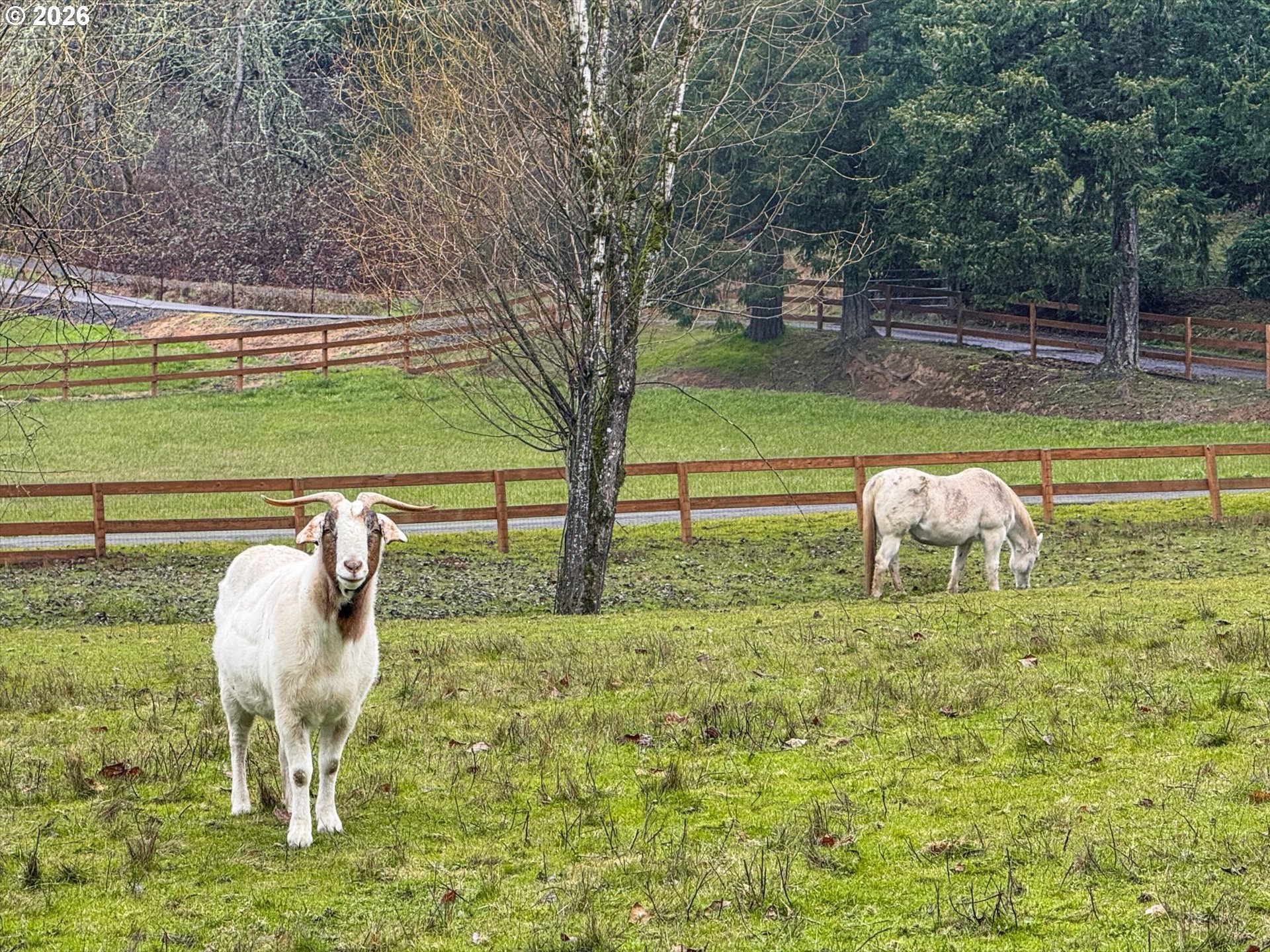 17069 South Bradley Road Oregon City, OR 97045 - Photo 29 of 29