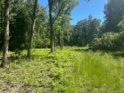 44735 Dunn Road Belleville, MI 48111 - Photo 3 of 4