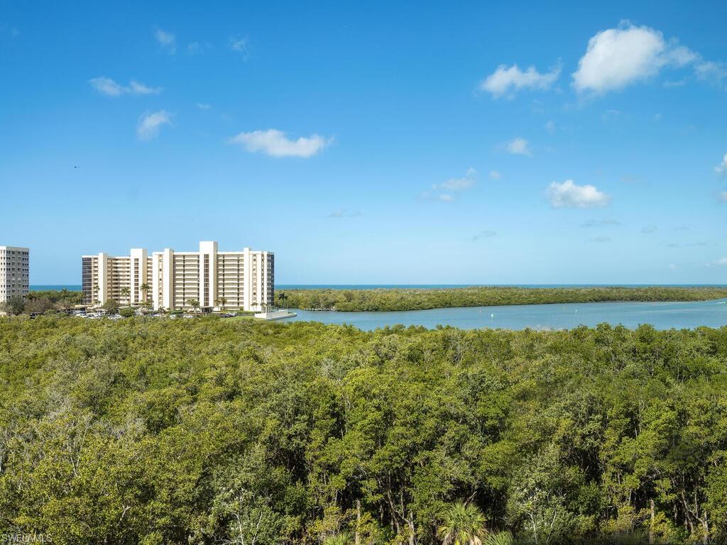 295 Grande Way, Unit 401 Naples, FL 34110 - Photo 13 of 19 a view of a city