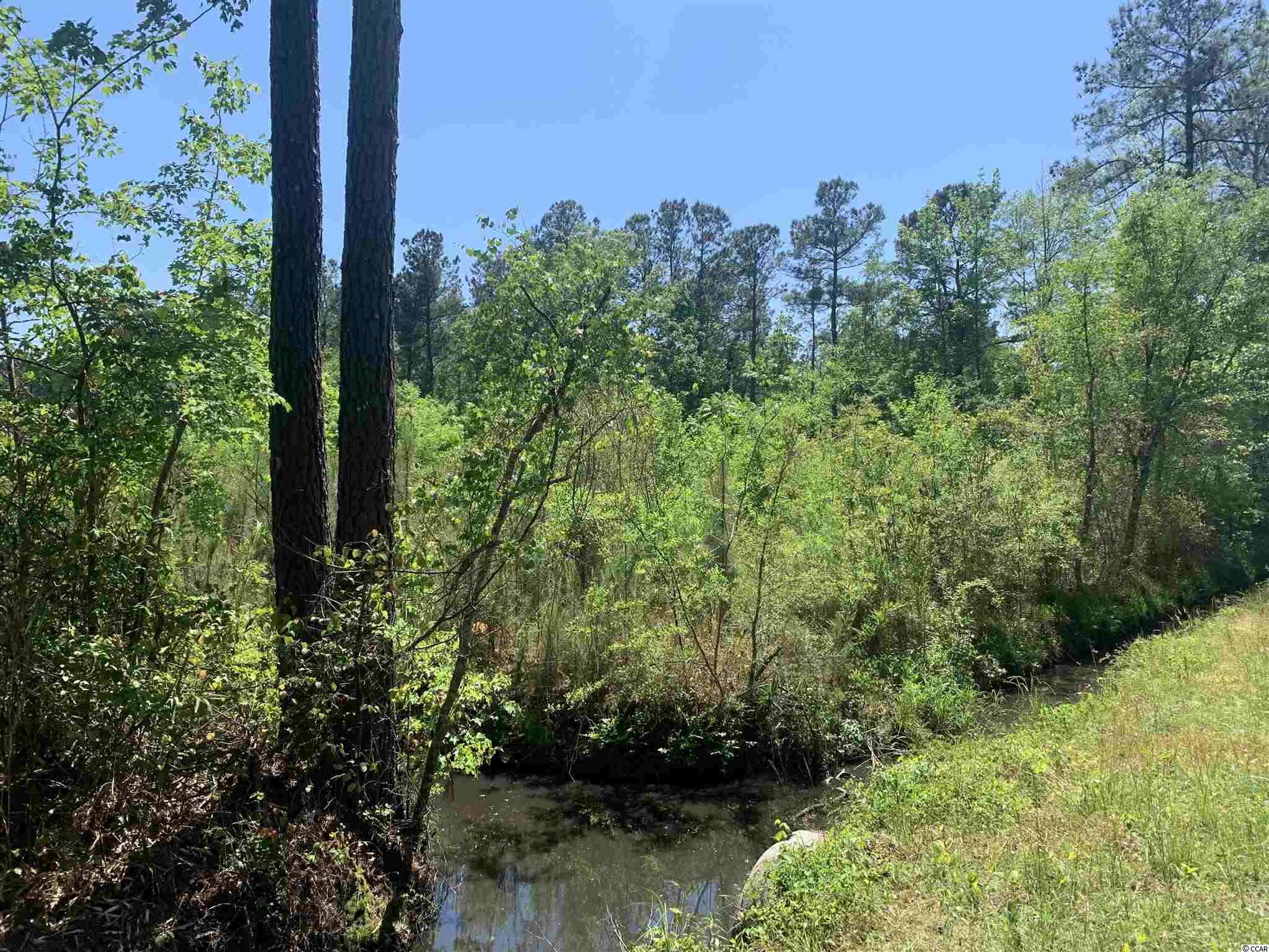 Tbt Tbt Boykin Road Salters, SC 29590 - Photo 2 of 4 Gallery Image 2