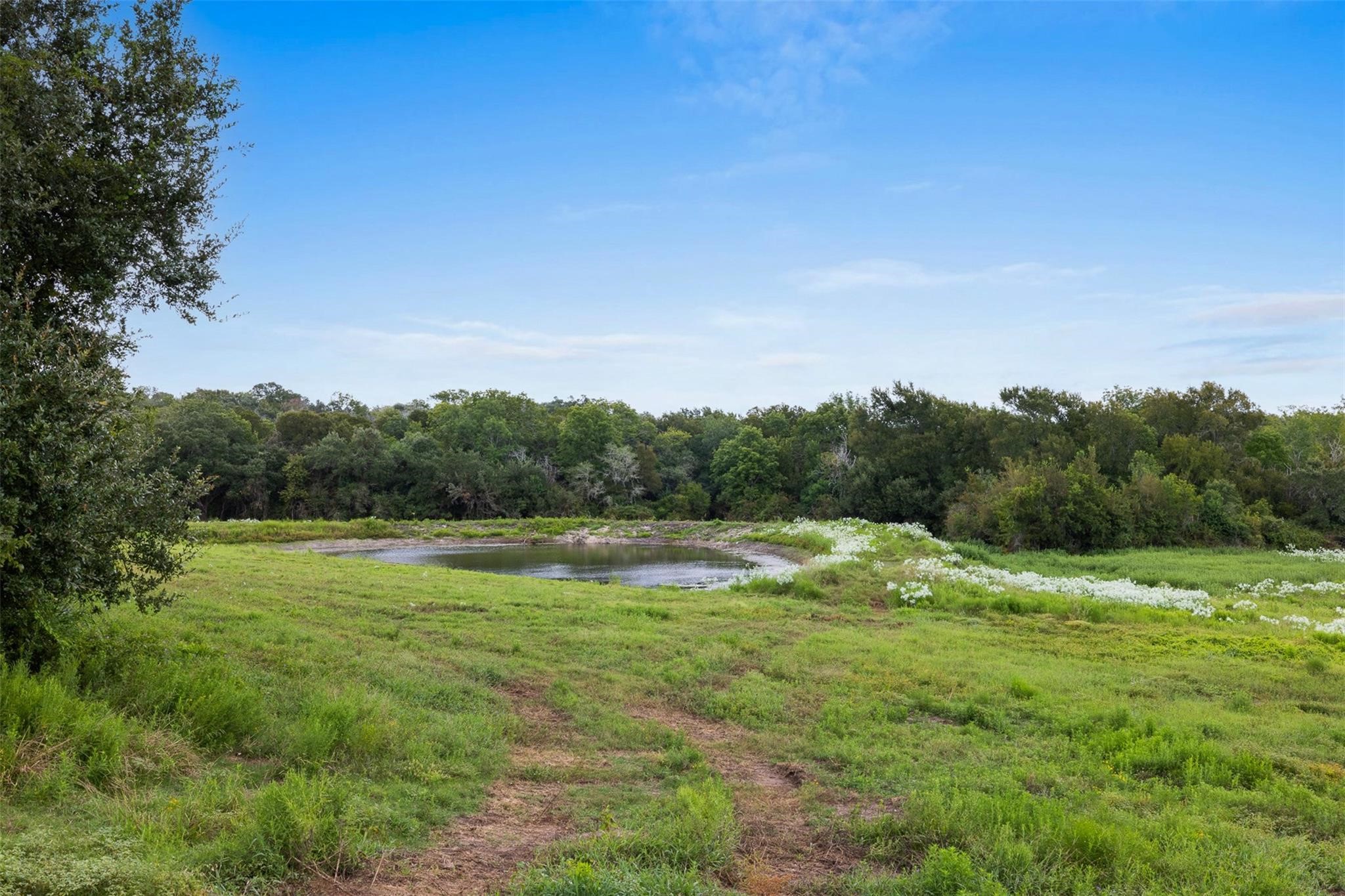 Lane-lot 13 Round Top, TX 78954 - Photo 3 of 8