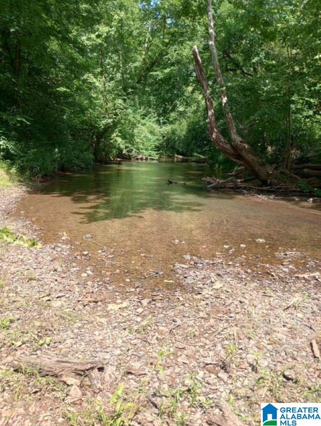 5100 Washington Valley Road, Unit PARCEL #1 Springville, AL 35146 - Photo 15 of 20