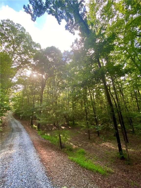 838 Charlies Creek Road Iva, SC 29655 - Photo 18 of 29 Gallery Image 18