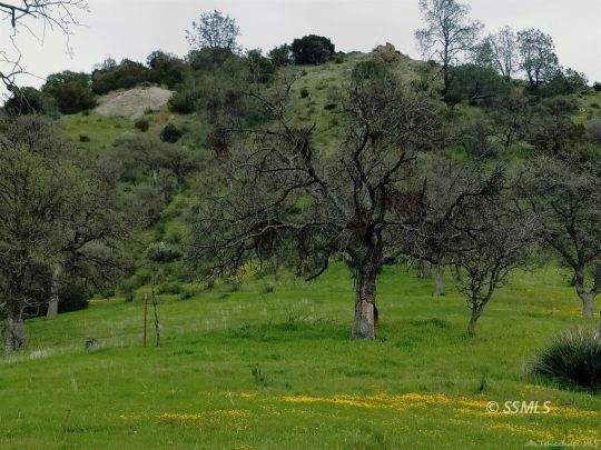 Ellen Blue Road Caliente, CA 93518 - Photo 2 of 6